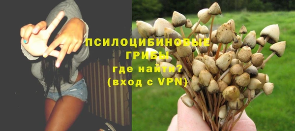 сатива Алексин