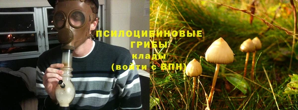 сатива Алексин